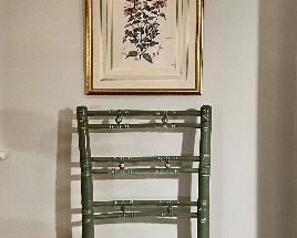 (2) Botanical Prints