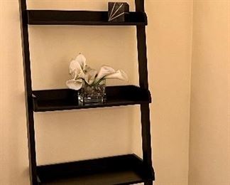 Ladder Shelf