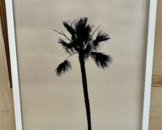 Framed, Summer Strauch Photograph, Palm Tree