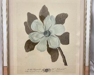 Original Botanical Illustration Plate With Dedication, Framed By Trowbridge
Lot #: 129