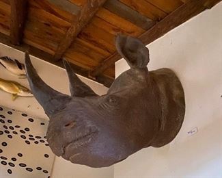 High quality resin black rhino bust
