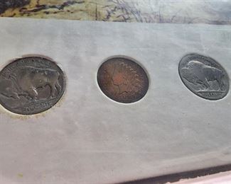The Vanishing American coin set