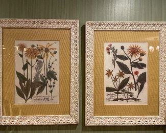 Pair of prints in white-washed wood frame