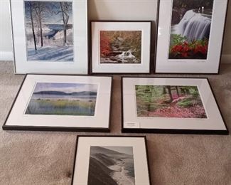 Nature in Frames