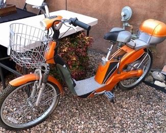 Electric Bike 