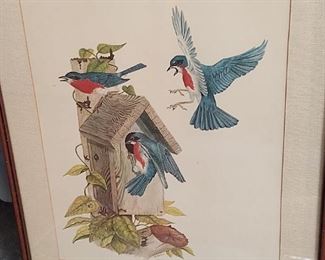 Beautiful Large Bluebird Print