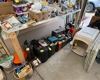 Wider View of Previous Picture