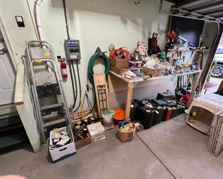 Ladders, Plungers, Drain Snake, Animal Carriers, Large Portable Pet Cage and Other Miscellaneous Items