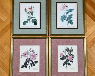 (4pc) BOTANICAL PRINTS  |
Reproduction prints of botanical engravings, uniformly framed, two with a blue mat and two with a pink mat - w. 17.5 x h. 20.75 in. (each frame)