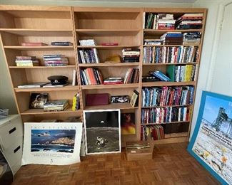 Various Books, Posters, Bookshelves, etc.