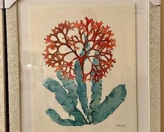(2) Framed Sea Life Prints