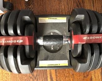 Bowflex weights 