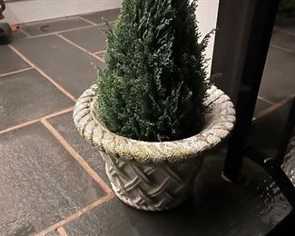 Pairs of planters 