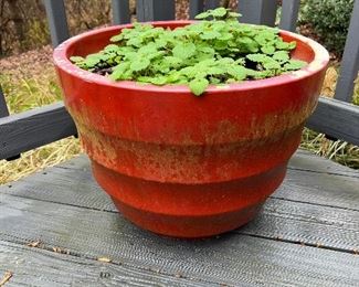 Outdoor pots