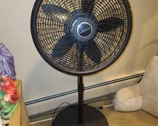 Floor Oscillating Fan