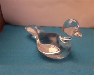 another  view  of  turtle  dove