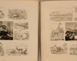 Two German Book Leaf Lithograph Prints Of African Animals, "sud Afrika" And "West Afrika Und Die Sahara"