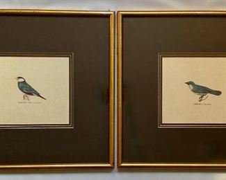 Pair Vintage Bird Prints: Grosso-Becco Padda & Laniere Blu
Lot #: 65