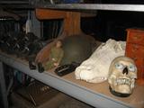 Vietnam M1 Helmet, 1967 GI Joe, Skulls and more.