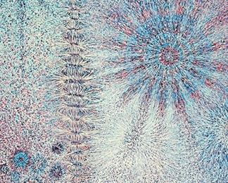 Aribert Munzner Framed Print MN Artist