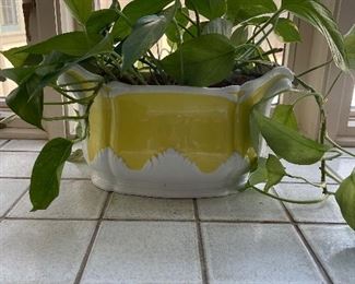 Mottahedeh Planter