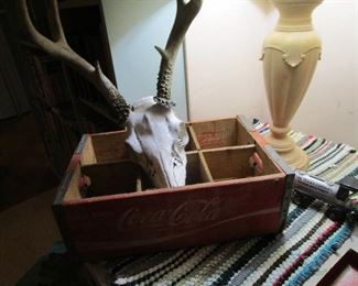 Old Coke crate and skull with horns