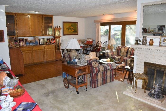 Living Room Overview
