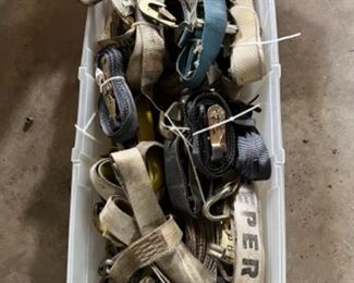 Professional tiedown straps