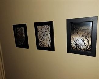 Lots of photos taken by client
Mr. Frank Dick