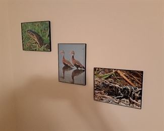 Lots of photographs from my clients studio