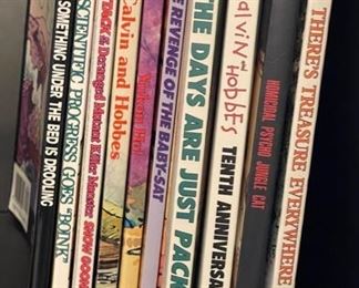 Sample of Calvin and Hobbes Comic Books.