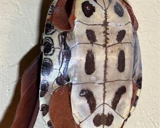Native American Turtle Shell Rattle	18 inches long	
