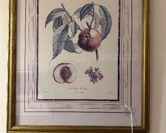 Potpourri Native Peach