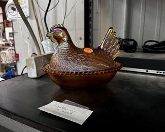 hen on nest
