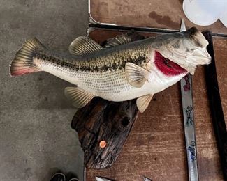 bass on mount 