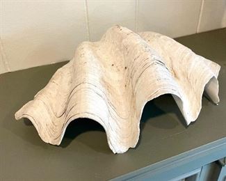 SOLD -  Clam Shell  11" L - Authentic
