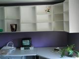 Office wall shelves are for sale, 2 walls of them.