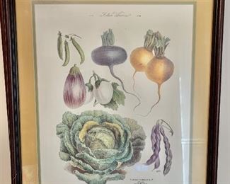 French vegetable botanical print