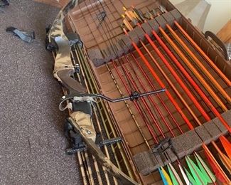 Bow and arrows