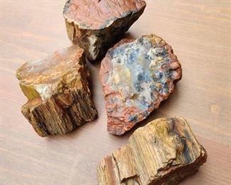 Petrified Wood 