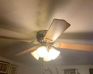 Ceiling fan with lights. Other ceiling fixtures available also.