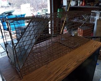 One of several live traps