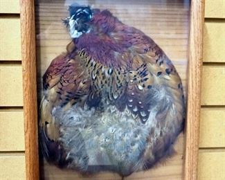 Dave Chapple (American, 20th Century) Signed Print Of Hedgerow-Pheasants (100/250) Framed Under Glass, And Bird Wing In Shadow Box, Possibly Bobwhite