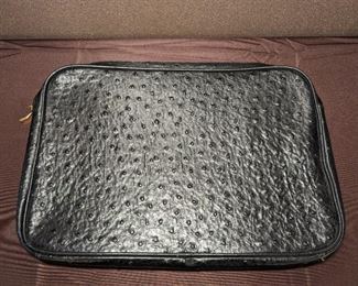 Ostrich Skin Portfolio