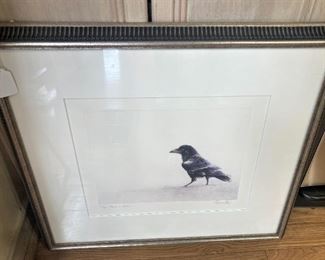 Framed and matted raven