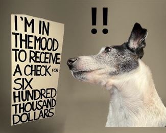 "I can't Read!!"  (pup NFS)