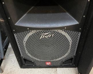 Peavey SP5 Two-Way Speaker System with 15” Scorpion HO Woofer X 2