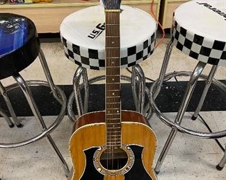 True Tone Acoustic Guitar