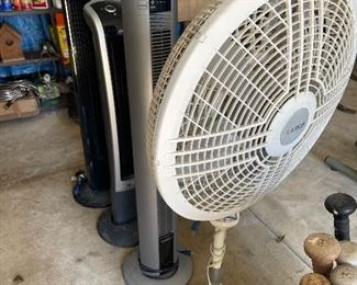 Tons of Fans Big and Small