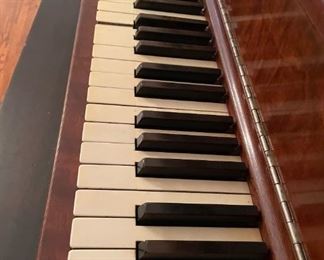  Available for pre-sale starting 1/9/23. Text 615-854-8535 for more information and/or to arrange a time to view.